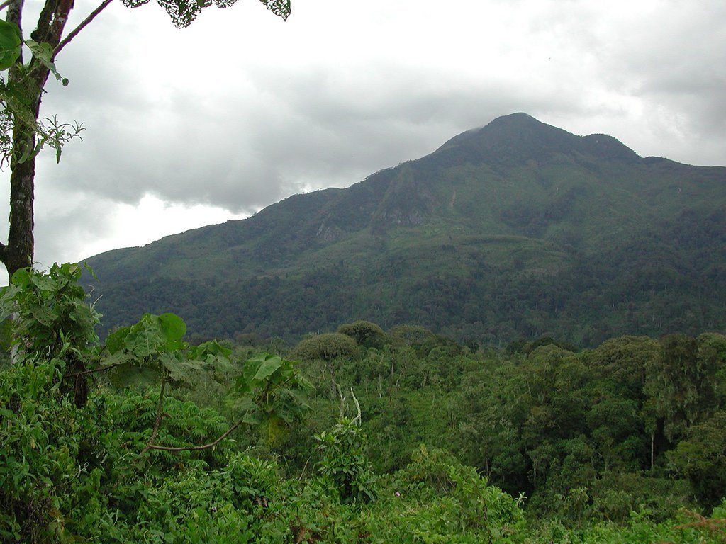 Kahuzi Biega national park